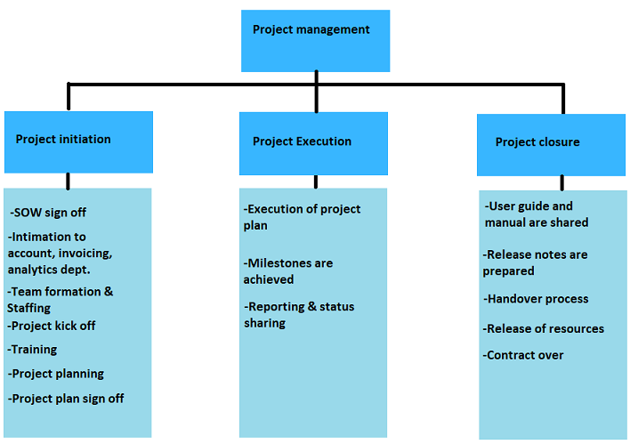 Software project management